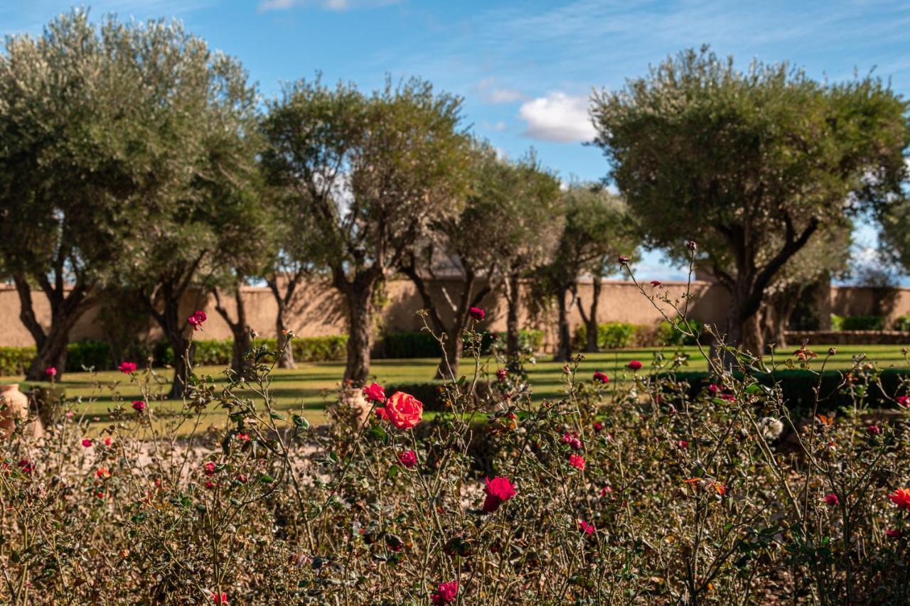 Le Palais Paysan Bed & Breakfast Marrakesh Luaran gambar